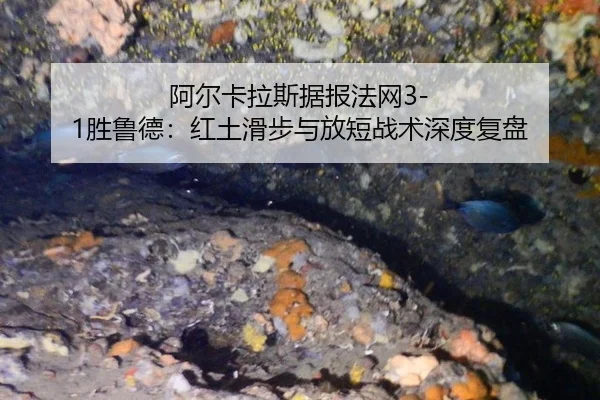 阿尔卡拉斯据报法网3-1胜鲁德：红土滑步与放短战术深度复盘